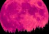 La noche del 7 al 8 de abril podremos contemplar la Superluna Rosa más impactante en muchos años