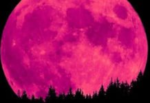 La noche del 7 al 8 de abril podremos contemplar la Superluna Rosa más impactante en muchos años