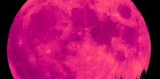 La noche del 7 al 8 de abril podremos contemplar la Superluna Rosa más impactante en muchos años
