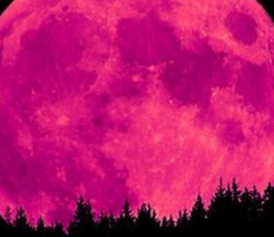 La noche del 7 al 8 de abril podremos contemplar la Superluna Rosa más impactante en muchos años