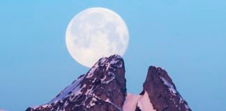 La mente humana en tiempos de cambio