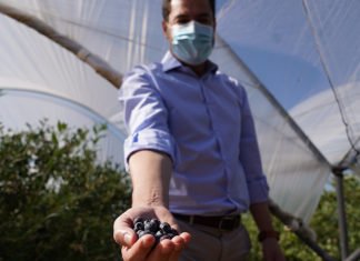 Juanma Moreno se compromete con los agricultores de Andalucía a dar todo su apoyo desde el gobierno autonómico