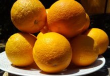 La Generalitat repartirá 700 toneladas de fruta y verdura entre familias humildes de Alicante, Valencia y Castellón