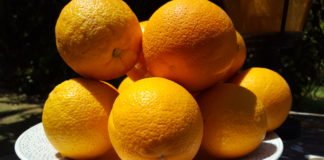 La Generalitat repartirá 700 toneladas de fruta y verdura entre familias humildes de Alicante, Valencia y Castellón