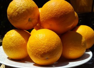 La Generalitat repartirá 700 toneladas de fruta y verdura entre familias humildes de Alicante, Valencia y Castellón