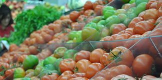 La Consellería de Agricultura quiere saber qué hemos comido en Alicante, Valencia y Castellón durante la pandemia de coronavirus