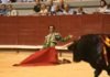Pablo Iglesias intenta convencer al gobierno para «acorralar» a los toros y la fiesta nacional