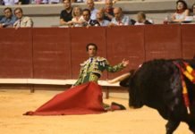 Pablo Iglesias intenta convencer al gobierno para «acorralar» a los toros y la fiesta nacional