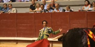 Pablo Iglesias intenta convencer al gobierno para «acorralar» a los toros y la fiesta nacional