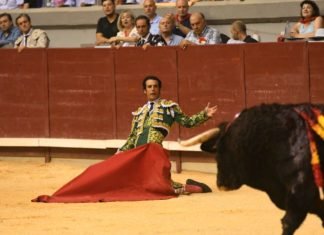 Pablo Iglesias intenta convencer al gobierno para «acorralar» a los toros y la fiesta nacional