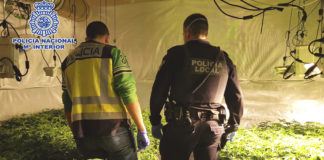 La Policía Nacional desmantela varios cultivos hidropónicos de marihuana con más de 1.200 plantas y detiene a sus ocho responsables