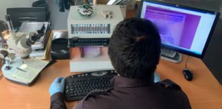 La Policía Nacional detiene a una persona por tratar de eludir un control policial con documentación falsa