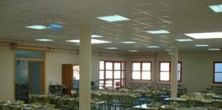 La Generalitat Valenciana aprueba 21.400.000 euros en ayudas para becas de comedor, reducción de la jornada laboral y sector agroalimentario