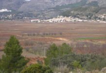 Las ayudas de la Generalitat Valenciana a agricultores y ganaderos durante la pandemia suman ya 115.000.000 de euros