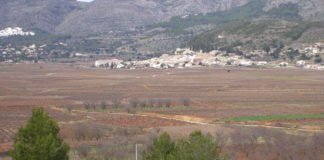 Las ayudas de la Generalitat Valenciana a agricultores y ganaderos durante la pandemia suman ya 115.000.000 de euros