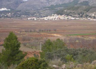 Las ayudas de la Generalitat Valenciana a agricultores y ganaderos durante la pandemia suman ya 115.000.000 de euros