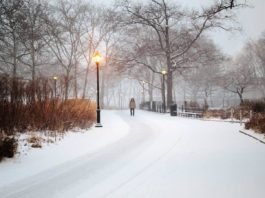 La nieve ha llegado hoy a Nueva York después de 43 años en un mes de mayo