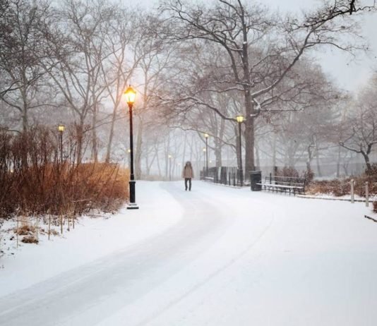 La nieve ha llegado hoy a Nueva York después de 43 años en un mes de mayo