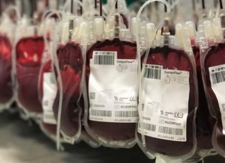 Más de 40.000 andaluces han donado sangre durante la pandemia de Covid-19 garantizando así las necesidades de los enfermos