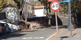 La Diputación de Alicante invertirá 3.000.000 de euros en mejorar la red viaria provincial