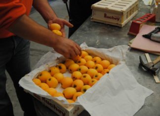 La Comunidad Valenciana es la tercera región de España en exportaciones según los datos conocidos del año 2020