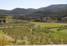 Madrid compromete 166.000.000 de euros en proyectos para la preservación y mejora del medio ambiente de su región