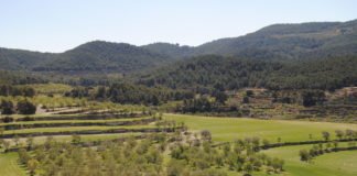 Madrid compromete 166.000.000 de euros en proyectos para la preservación y mejora del medio ambiente de su región