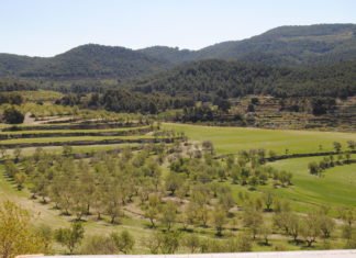 Madrid compromete 166.000.000 de euros en proyectos para la preservación y mejora del medio ambiente de su región