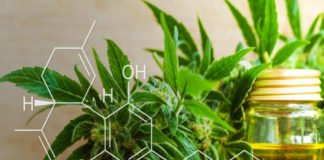 La «marihuana» que no coloca encuentra un negocio boyante en España