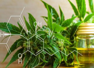 La «marihuana» que no coloca encuentra un negocio boyante en España