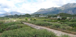 Altea organiza un taller para identificar y conocer especies exóticas en el cauce el Río Algar