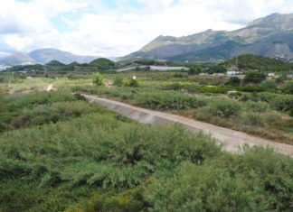 Altea organiza un taller para identificar y conocer especies exóticas en el cauce el Río Algar