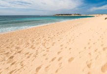 El presidente de Andalucía anuncia un Plan de Empleo para sus ayuntamientos dotado con 165.000.000 de euros y 19.000 empleos