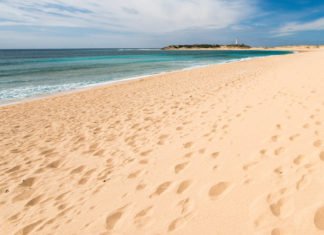 El presidente de Andalucía anuncia un Plan de Empleo para sus ayuntamientos dotado con 165.000.000 de euros y 19.000 empleos