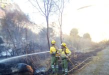 Murcia activa a 32 agentes medioambientales en la lucha contra los incendios forestales