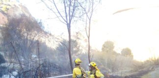 Murcia activa a 32 agentes medioambientales en la lucha contra los incendios forestales