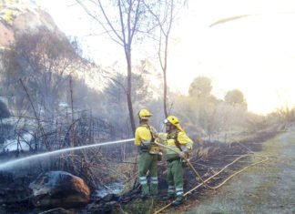 Murcia activa a 32 agentes medioambientales en la lucha contra los incendios forestales