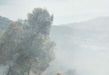 La Sociedad de Gestión Integral de Emergencias convoca una bolsa de empleo temporal de bomberos forestales