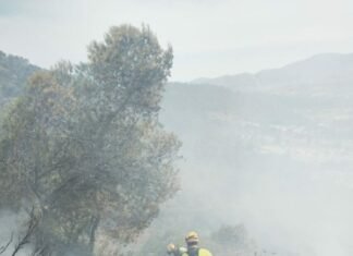 La Sociedad de Gestión Integral de Emergencias convoca una bolsa de empleo temporal de bomberos forestales