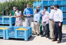 Los Reyes de España visitan la Región de Murcia recibiendo el calor de sus ciudadanos