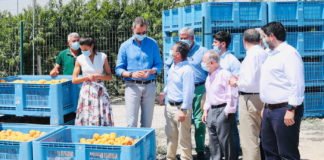 Los Reyes de España visitan la Región de Murcia recibiendo el calor de sus ciudadanos