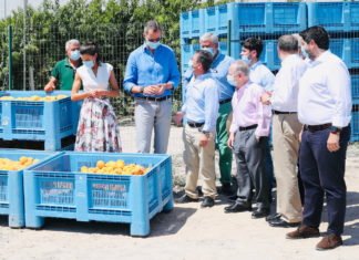 Los Reyes de España visitan la Región de Murcia recibiendo el calor de sus ciudadanos