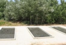 Madrid impulsa un proyecto piloto para depurar las aguas con plantas