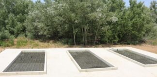 Madrid impulsa un proyecto piloto para depurar las aguas con plantas