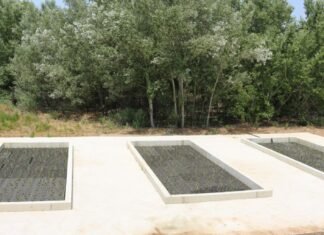 Madrid impulsa un proyecto piloto para depurar las aguas con plantas