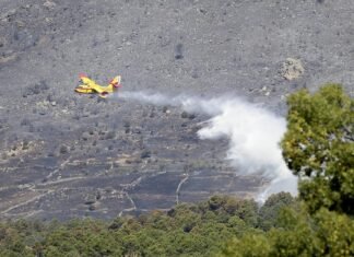 Díaz Ayuso agradece el trabajo de los efectivos en la extinción del incendio de Robledo, Fresnedillas y Zarzalejo en Madrid