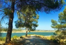 Seis terremotos se hacen sentir en la linde entre Alicante y Valencia la pasada madrugada