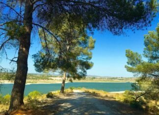 Seis terremotos se hacen sentir en la linde entre Alicante y Valencia la pasada madrugada