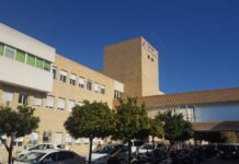 La Comunidad Valenciana suma 485 casos de coronavirus y 264 altas en la última jornada