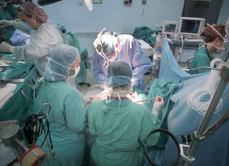 Los hospitales de Andalucía registran 393 trasplantes de órganos en los primeros siete meses del año